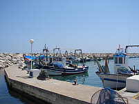 duquesa marina fishing